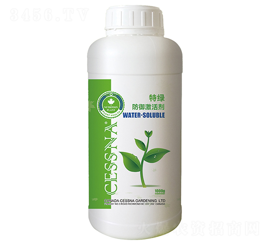 -ؾG-ЅRr(nng)I(y)