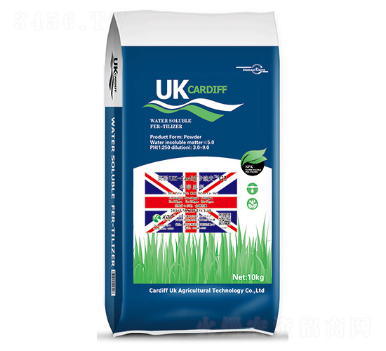 Ӣ(gu)UK-CardiffϷG2-Ϸ