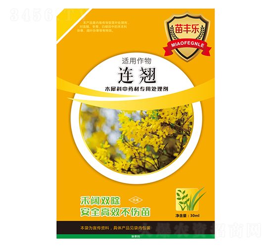 BNľϬˎČ̎턩-S(l)-瘷(l)r(nng)I(y)