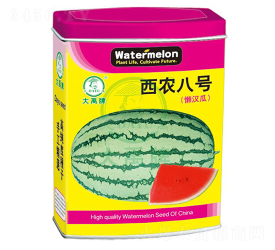 r(nng)8̖(ho)ϷN-NI(y)