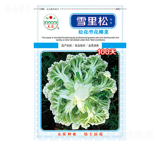 ׻Ҭ˷N-ѩ100-̫(l)NI(y)