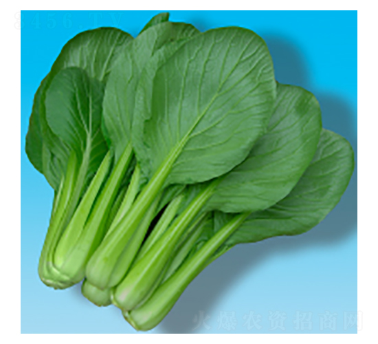 Сɲ˷N-202-A孷NI(y)