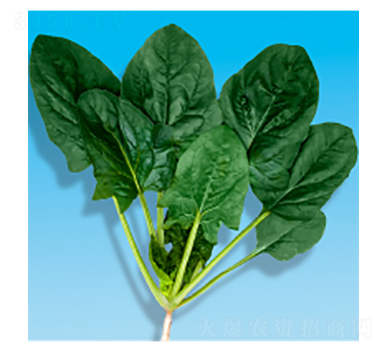 ˷N-孲203-A孷NI(y)