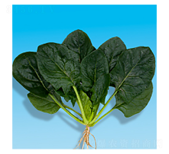 ˷N-孲4̖-A孷NI(y)