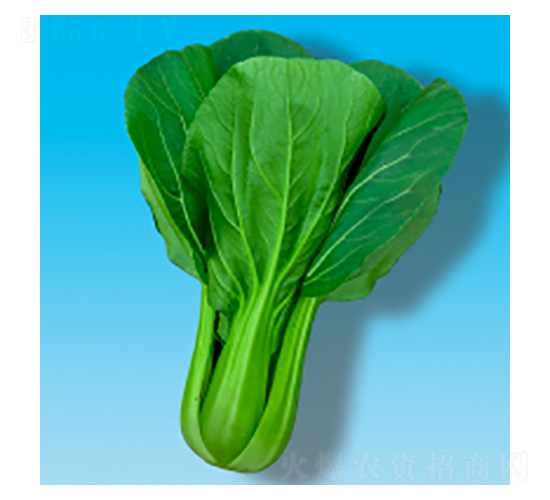 ๣˷N-349-A孷NI(y)