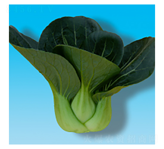 ๣˷N-317-A孷NI(y)