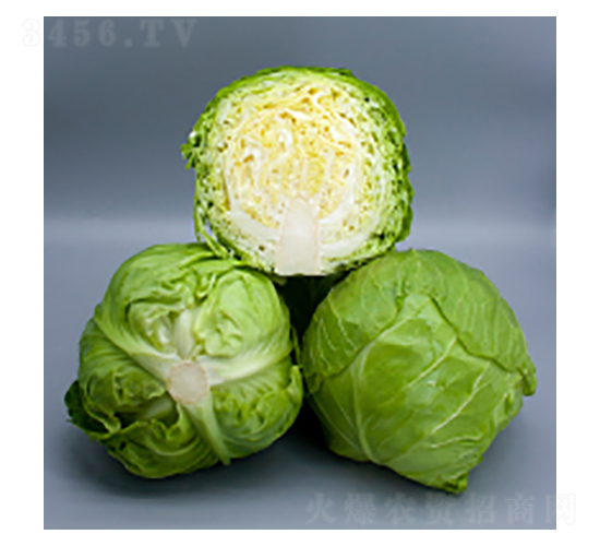 {(ln)N-{(ln)2115-A孷NI(y)