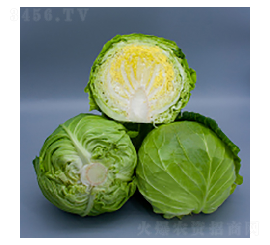 {(ln)N-{(ln)2116-A孷NI(y)