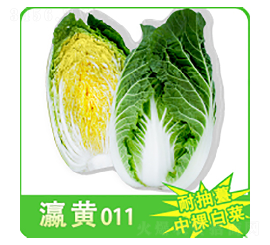 ײ˷N-S011-A孷NI(y)