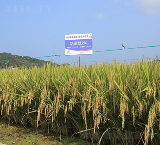 Aマ(yu)281-ˮN-𽡷NI(y)