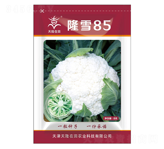 ¡ѩ85-¡-¡r(nng)I(y)