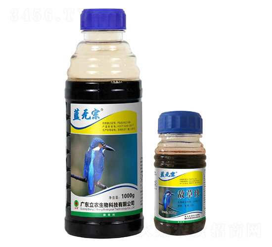 20%ݿ-{(ln)o-V|r(nng)