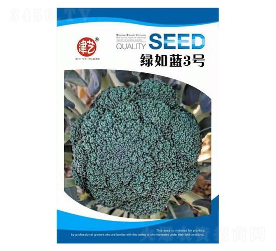 mN-G{(ln)3̖-Sr(nng)I(y)