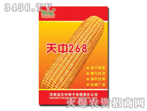 天中268-玉米種子