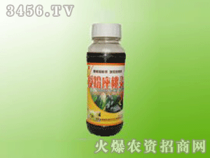 海虹-授粉座桃靈