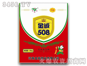 金苑-金誠508-玉米種子