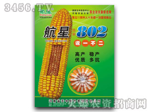 天中航星802(玉米種子)