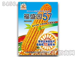 福盛源57-玉米種子-強(qiáng)盛種業(yè)