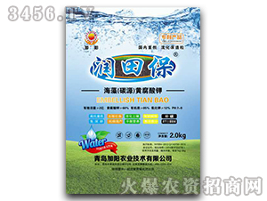 海藻(碳源)黃腐酸鉀-潤田保-加陽