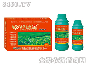 ɣàIB(yng)a(chn){(dio)턩-Ƶ