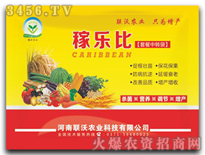 a(chn)ײ-ژ-(lin)r(nng)I(y)