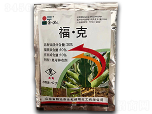 20%ˑҸN40g--r̩