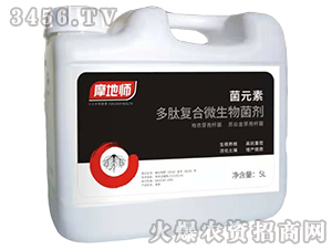 Ԫضďͺ΢-Ħ؎-r(nng)