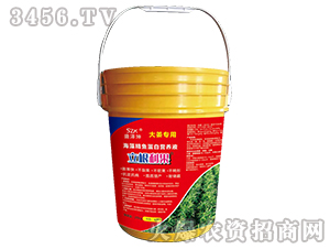 徫~נIB(yng)Һ󽪌ã--ʢ 