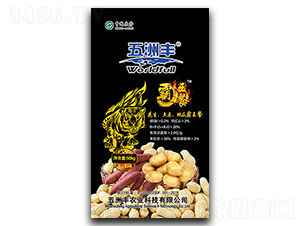 ԪI(yng)B(yng)-عϰ-S