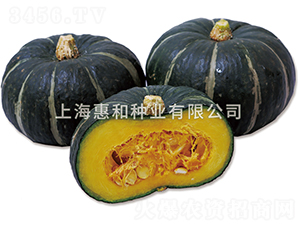 ̖ؐؐ(ho)-ϹϷN-ݺͷNI(y)