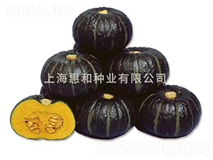 ̖ؐؐ(ho)-ϹϷN-ݺͷNI(y)