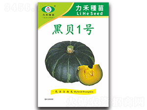 ؐ1̖(ho)-ϹϷN-r(nng)I(y)