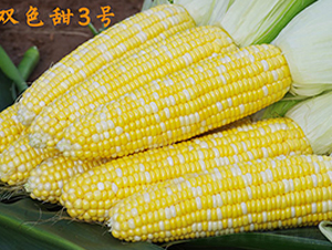 pɫ3̖(ho)-׷N-r(nng)