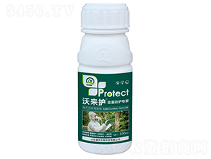 xo(h)-ցo(h)-(qing)r(nng)