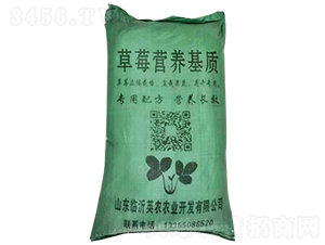 ݮI(yng)B(yng)|(zh)-Ӣr(nng)r(nng)I(y)