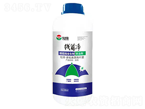 Y(ji)x(chng)΄--϶a(chn)