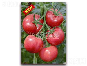 ǰ̖(ho)-TY۹ѷN-ƈDNI(y)