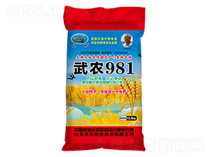 武農(nóng)981(小麥種子)-偉豐種業(yè)