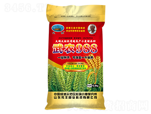 武農(nóng)988(小麥種子)-偉豐種業(yè)