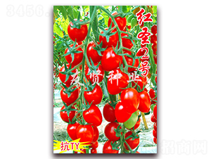 tʥ2̖(ho)-TYСѷN-tNI(y)