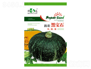 黑寶石-昌農(nóng)種業(yè)