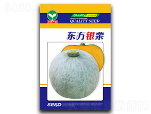 東方銀栗-南瓜種子-泉源