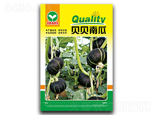 貝貝南瓜-南瓜種子-泉源