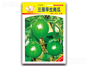三錄早生南瓜-南瓜種子-飛歌農(nóng)業(yè)