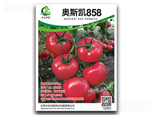 W˹P858-ѷN-r(nng)(rn)