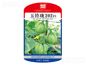 玉鈴瓏202-南瓜種子-綿蔬種業(yè)