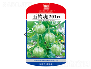 玉鈴瓏201-南瓜種子-綿蔬種業(yè)