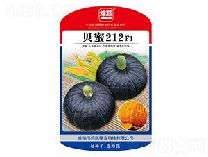 貝蜜212-南瓜種子-綿蔬種業(yè)