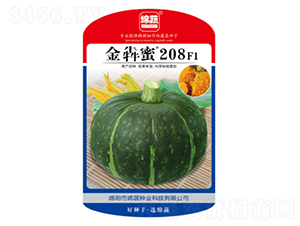 金犇蜜208-南瓜種子-綿蔬種業(yè)