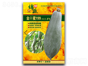金犇蜜199-南瓜種子-綿蔬種業(yè)